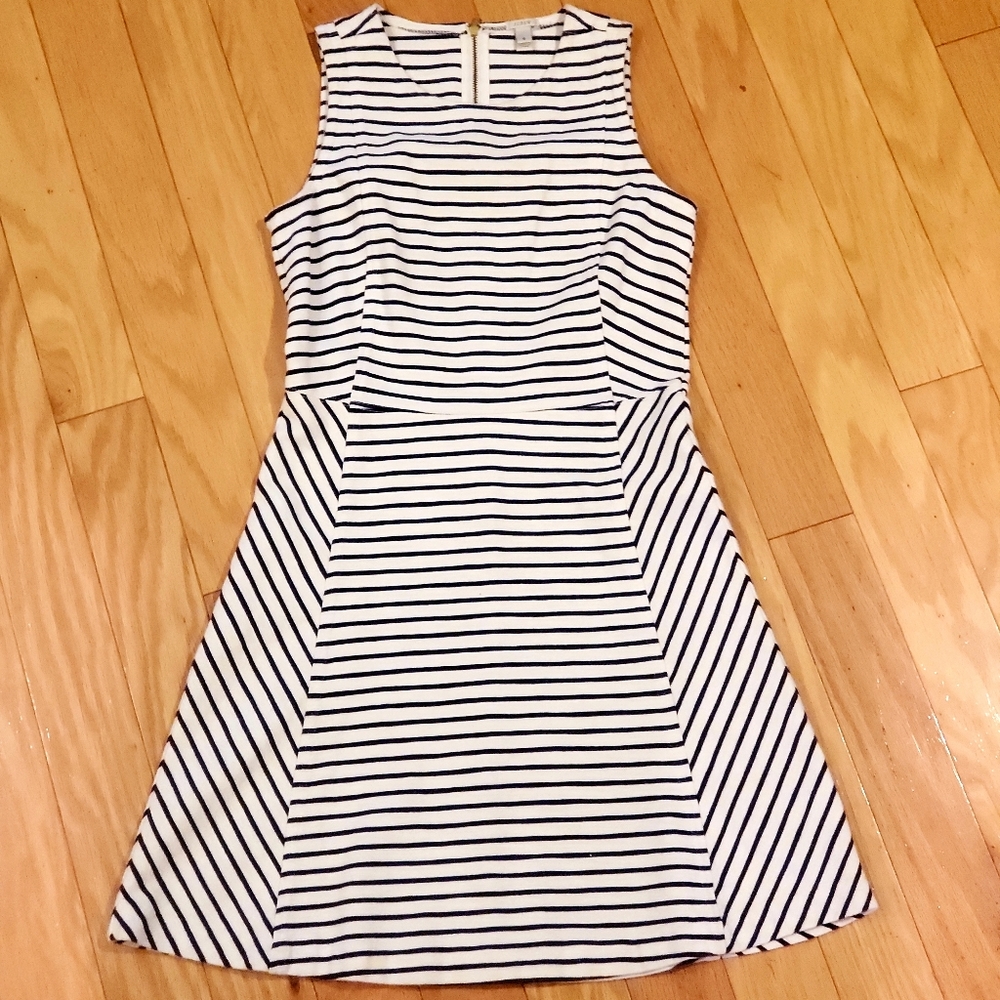 J. Crew dress